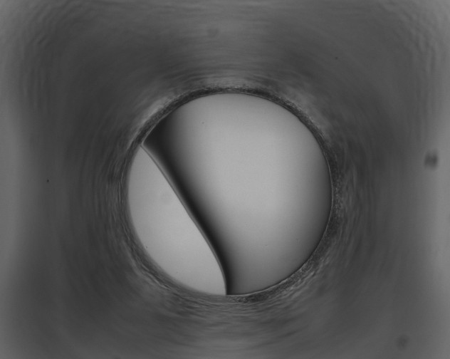 X0000097840111200803140843