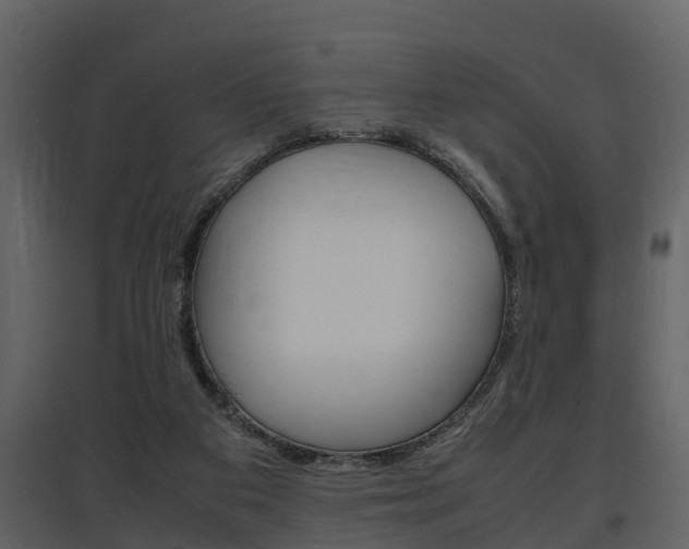 X0000097840113200803140843