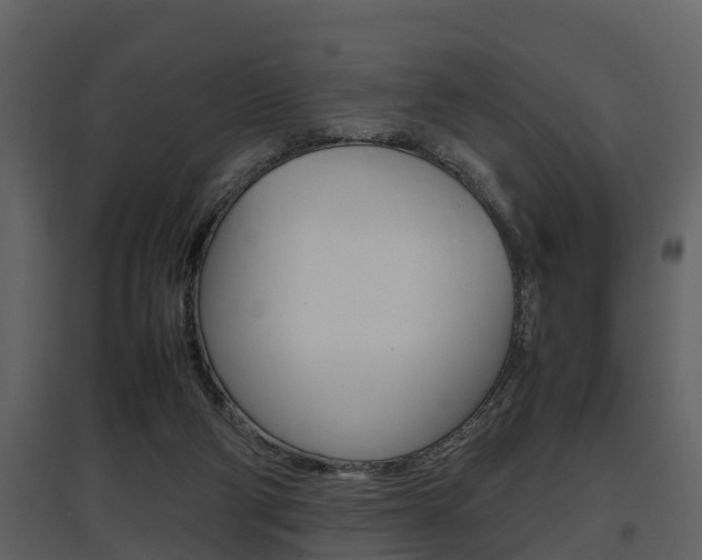 X0000097840114200803140843
