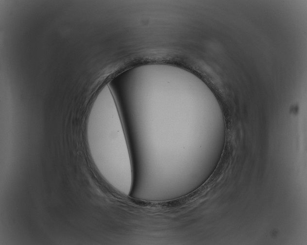 X0000097840115200803140843