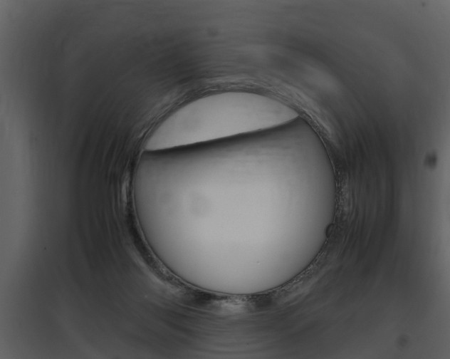 X0000097840118200803140843