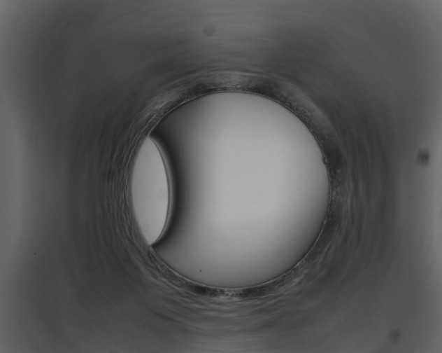 X0000097840119200803140843