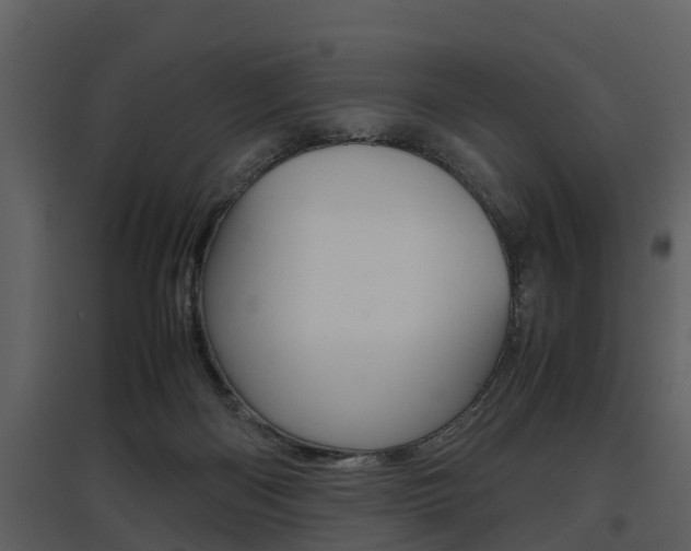 X0000097840122200803140843