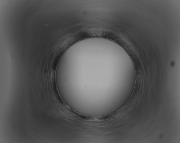X0000097840125200803140843
