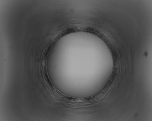 X0000097840129200803140843