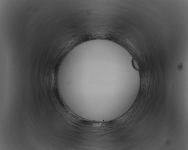 X0000097840130200803140843