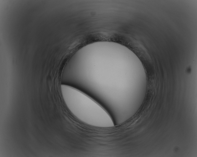 X0000097840131200803140843