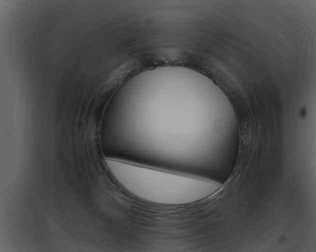 X0000097840132200803140843