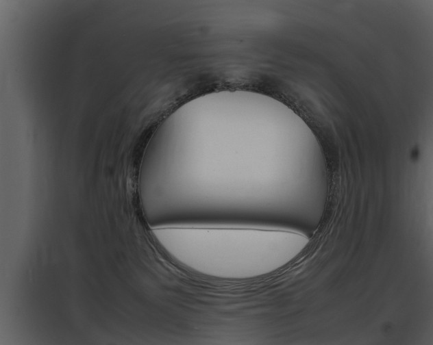 X0000097840135200803140843