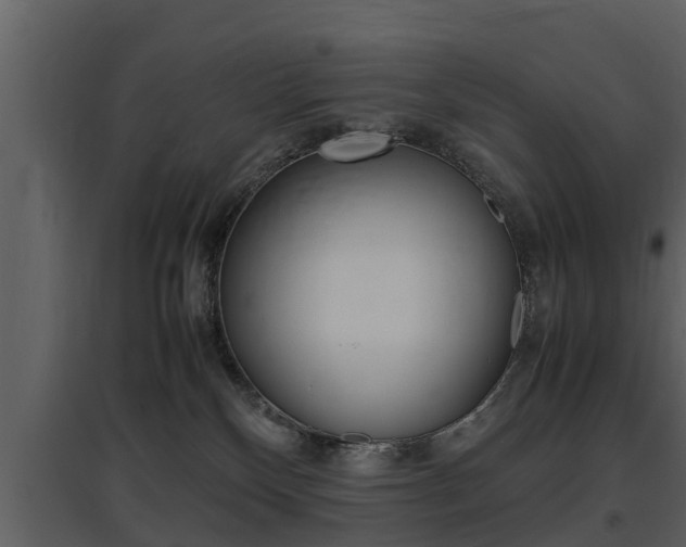 X0000097840136200803140843
