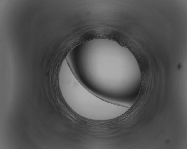 X0000097840137200803140843
