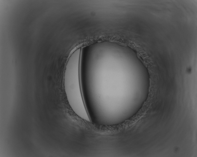 X0000097840144200803140843