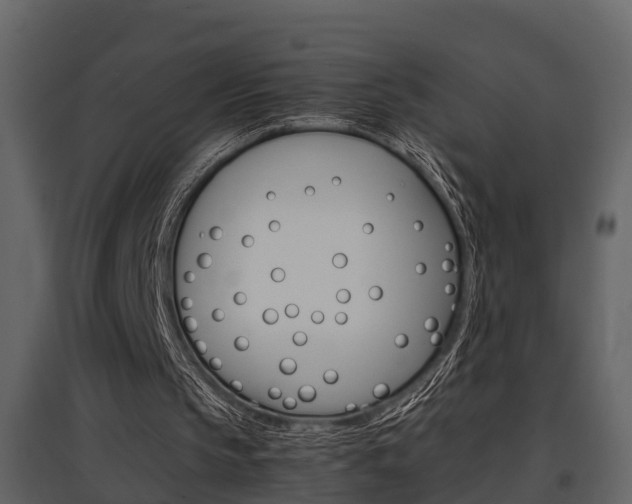 X0000097840145200803140842