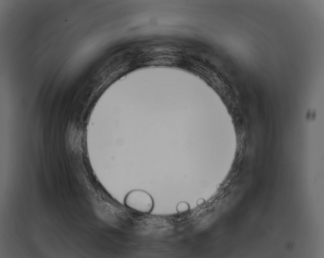 X0000097840146200803140842