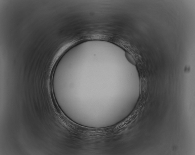 X0000097840147200803140842