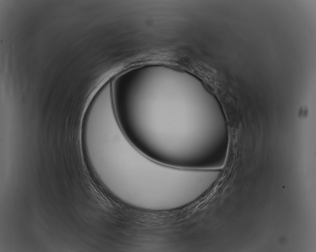 X0000097840148200803140842