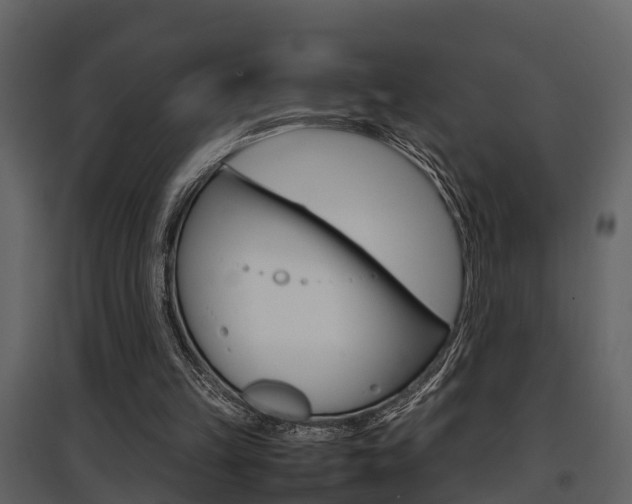 X0000097840149200803140842