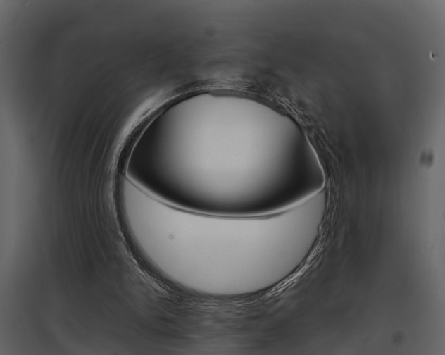 X0000097840150200803140842