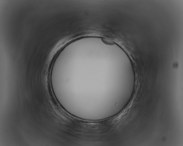 X0000097840151200803140842
