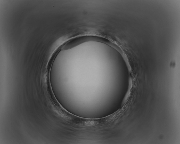 X0000097840152200803140842