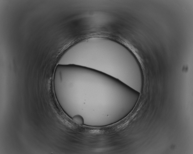 X0000097840153200803140842