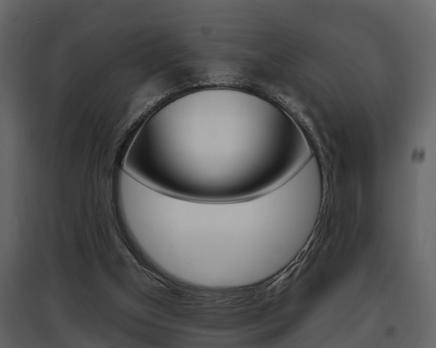 X0000097840154200803140842