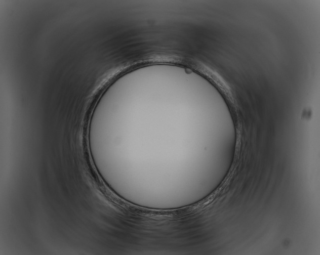 X0000097840155200803140842
