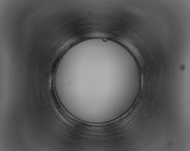 X0000097840157200803140842