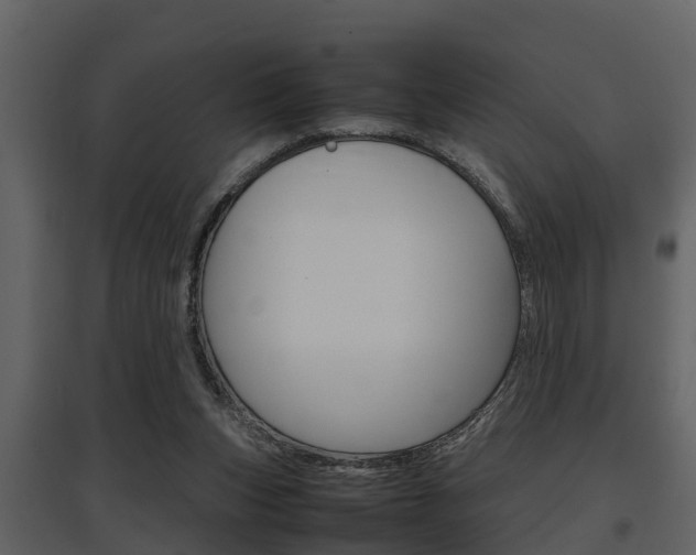 X0000097840159200803140842