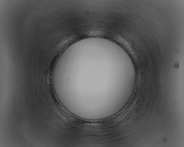 X0000097840161200803140842
