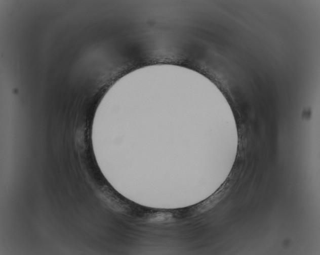 X0000097840162200803140842