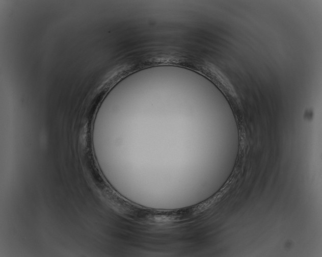 X0000097840163200803140842