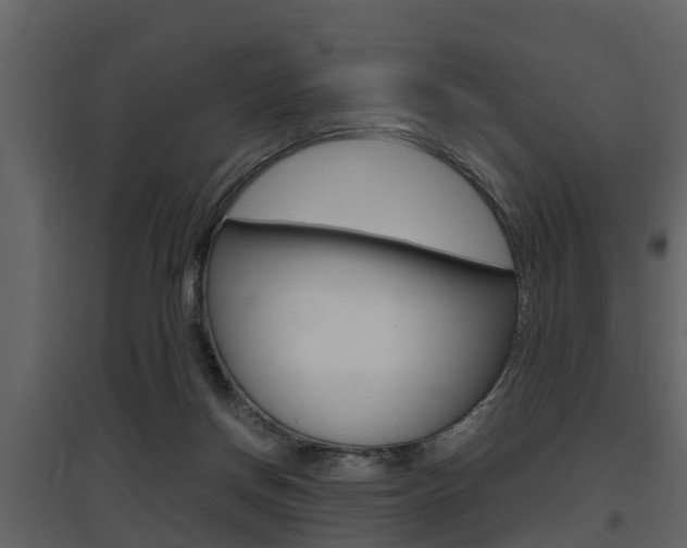 X0000097840166200803140842