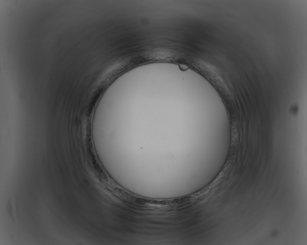 X0000097840167200803140842