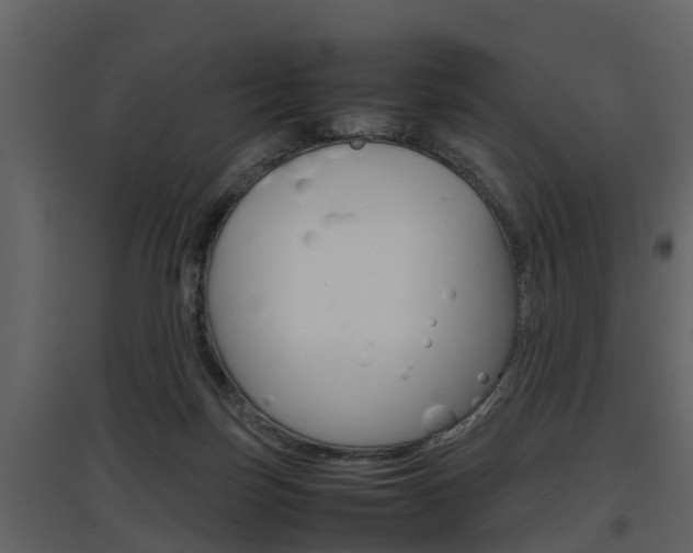 X0000097840171200803140842