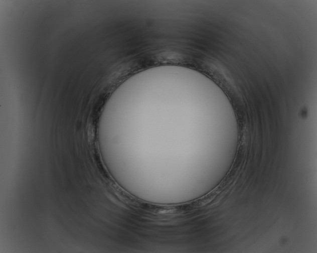 X0000097840173200803140842