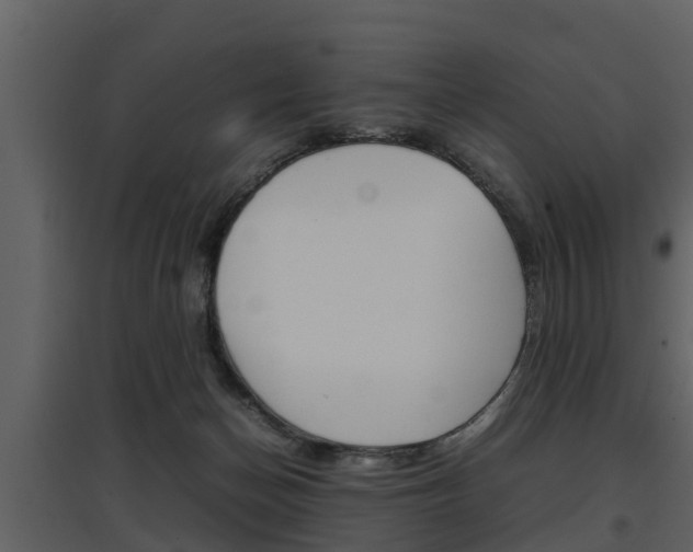 X0000097840174200803140842