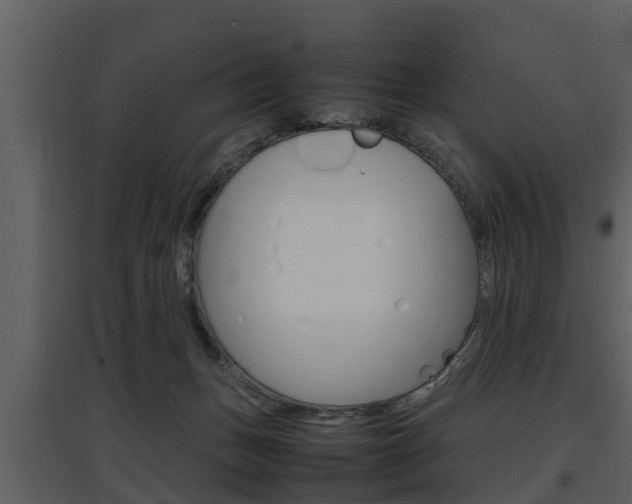 X0000097840175200803140842