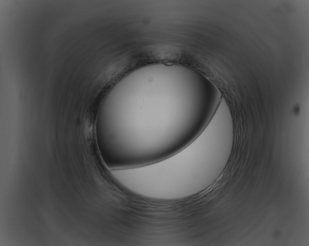 X0000097840176200803140842