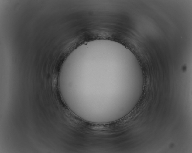 X0000097840177200803140842