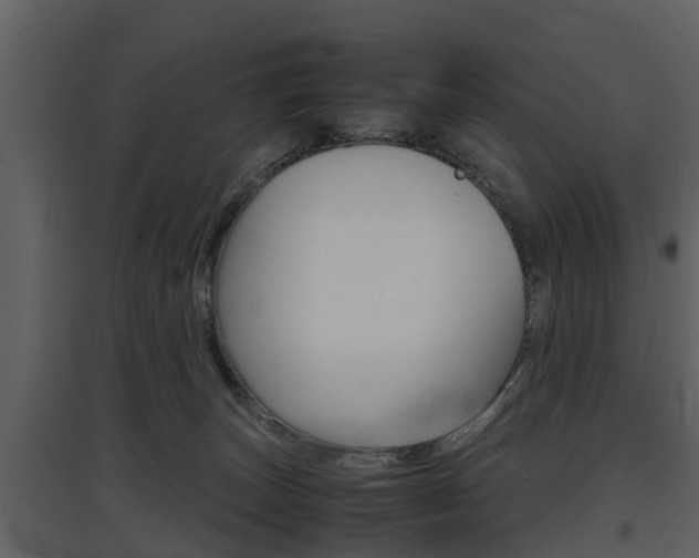 X0000097840179200803140842