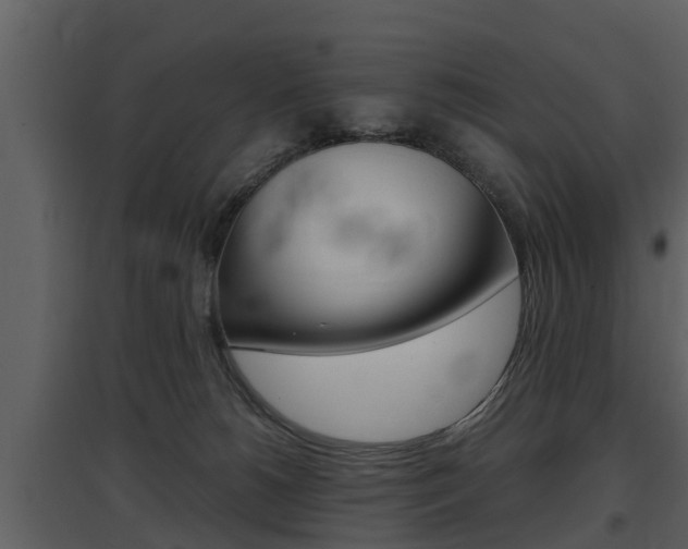 X0000097840180200803140842