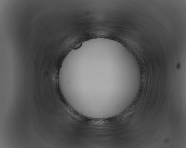 X0000097840181200803140842