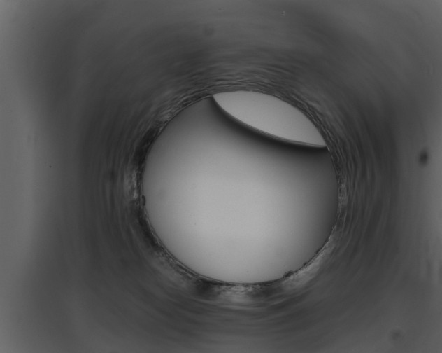 X0000097840182200803140842