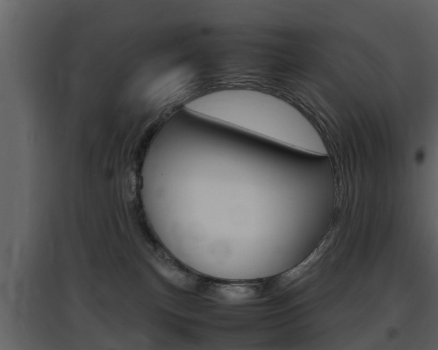 X0000097840183200803140842