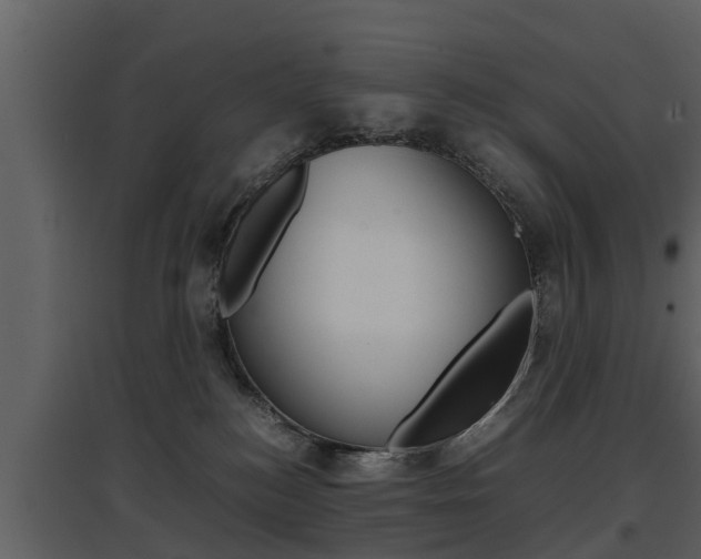 X0000097840184200803140842