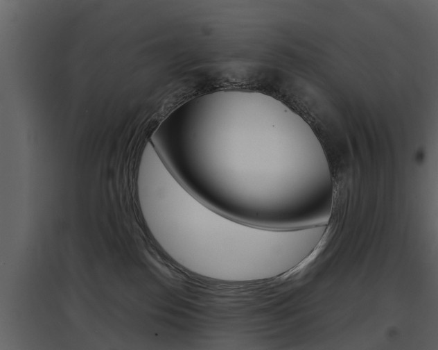X0000097840186200803140843