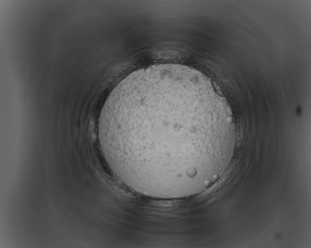 X0000097840187200803140843