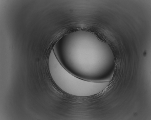 X0000097840188200803140843