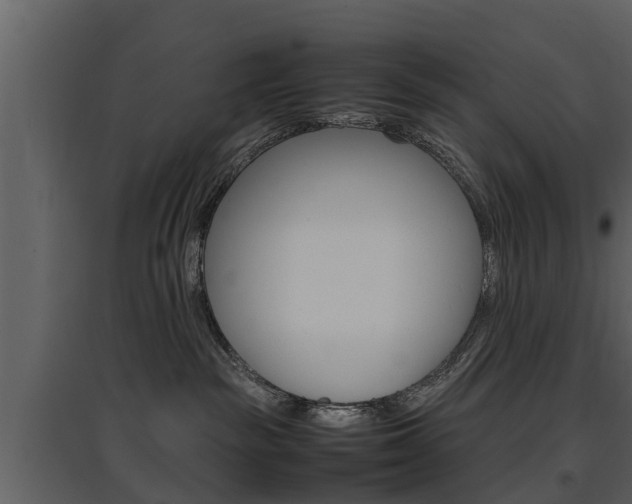 X0000097840189200803140843